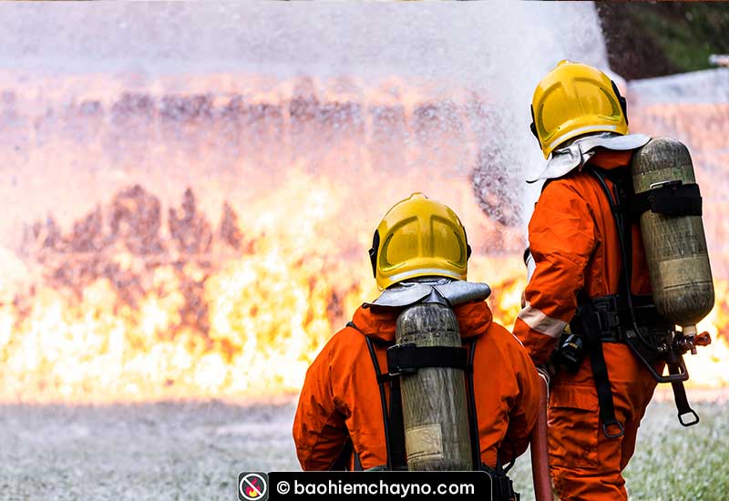 Đối tượng của bảo hiểm cháy nổ không chỉ là những cơ sở về vật chất, hạ tầng mà còn là những nơi có khả năng gây thiệt hại lớn đối với xã hội như các nơi tập trung đông dân cư, chợ, trung tâm thương mại, nhà cao tầng, chung cư, nhà ga, rạp chiếu phim…